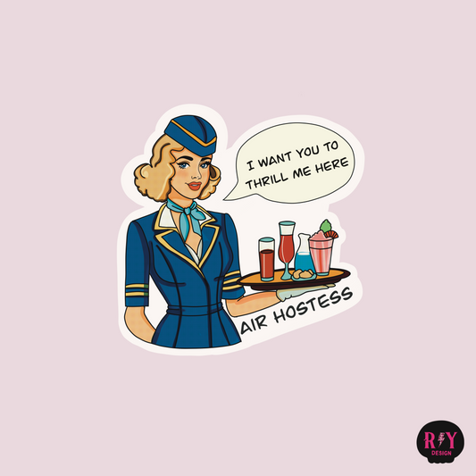 Air Hostess Busted Sticker